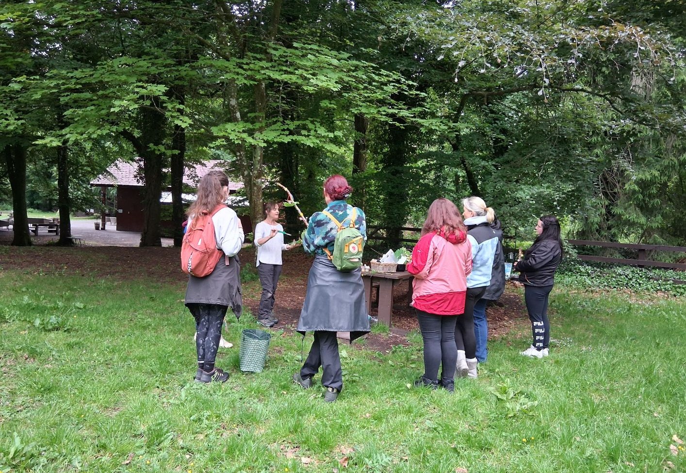 A group of early years educators gathered in a woodland clearing in Donadea Forest, watching a facilitator hold up a leafy branch.