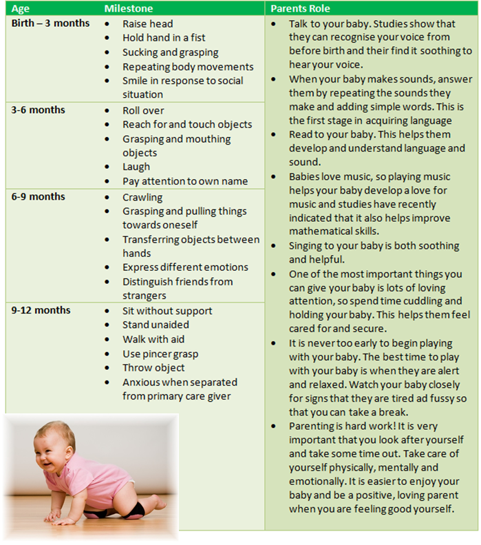 Baby Development Chart 0 12 Months